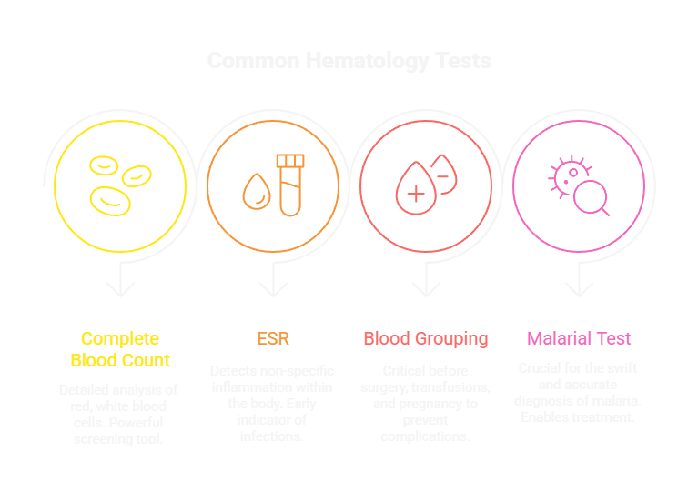 Common Hematology Tests