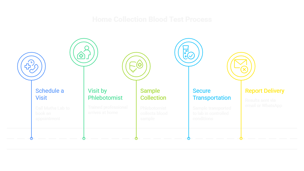 Home Collection Blood Test Process