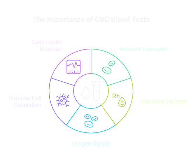 The Importance of CBC Blood Tests