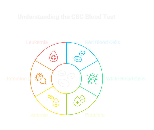 Understanding the CBC Blood Test