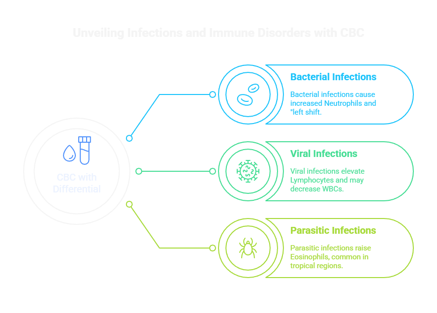 Unveiling Infections and Immune Disorders with CBC