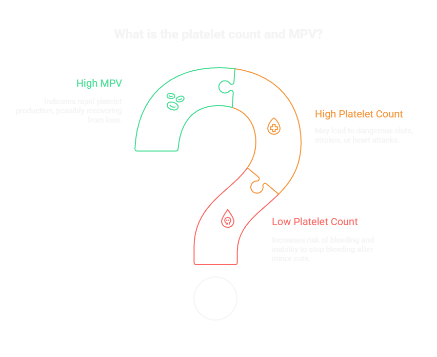 What is the platelet count and MPV?